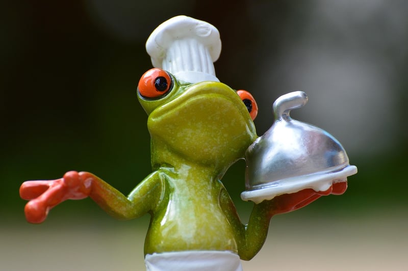 Brazilian-Korean Fusion Cuisine